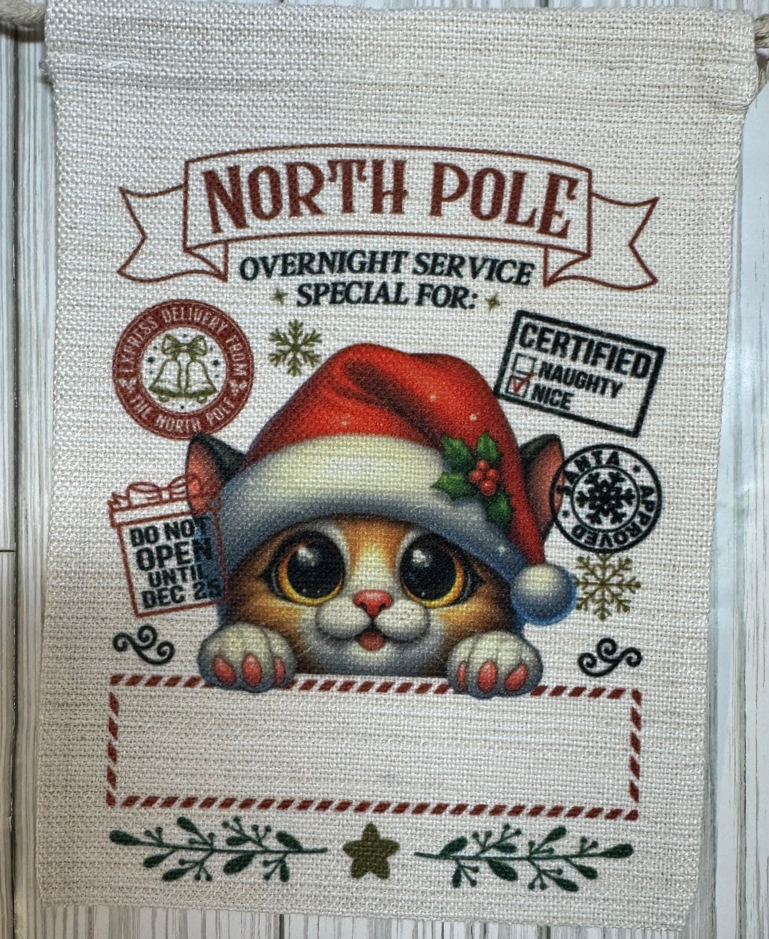 Santa Sack Yellow tabby cat
