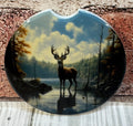 Car Coaster Buck in stream