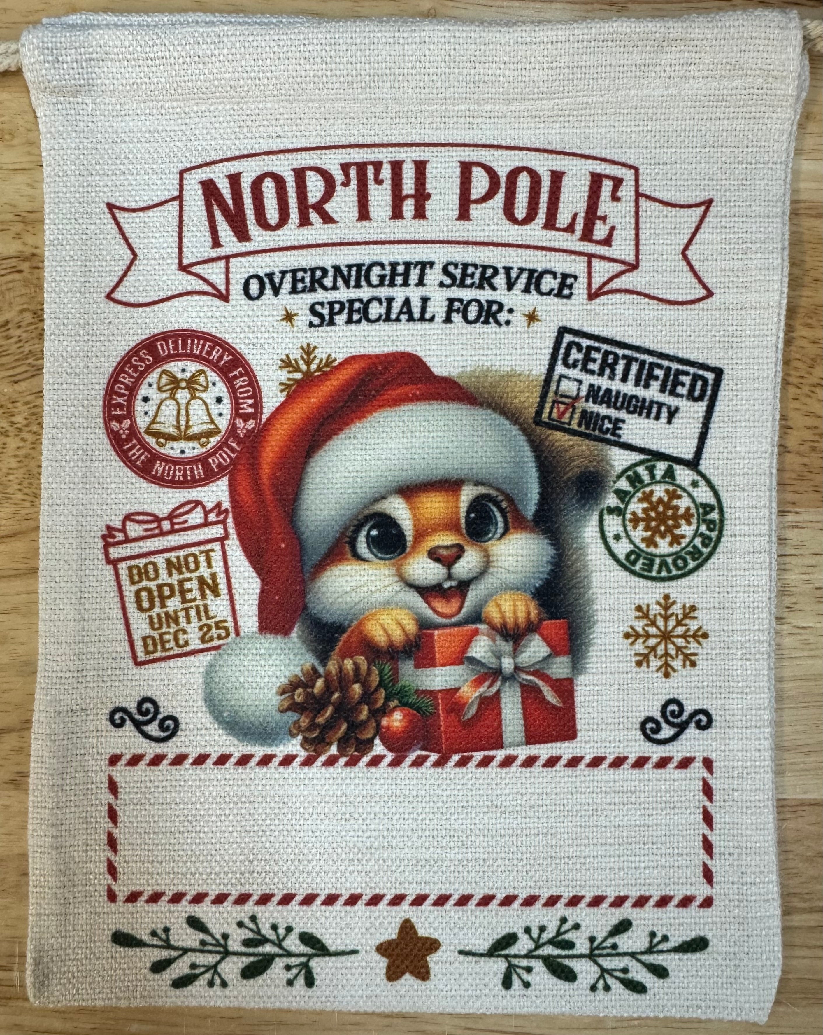 Santa Sack Squirrel 2